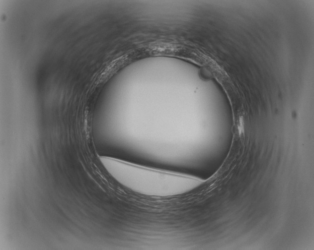 X0000085831396200703161017