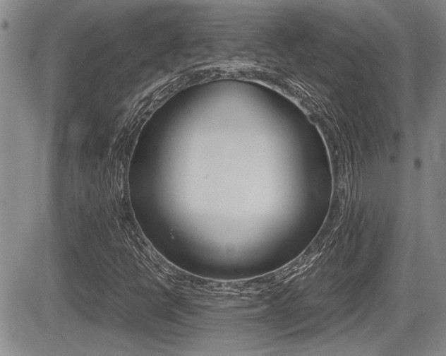 X0000085831398200703161017