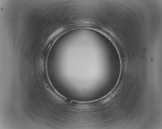 X0000085831402200703161017