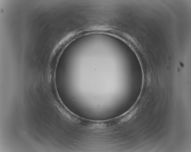 X0000085831406200703161018