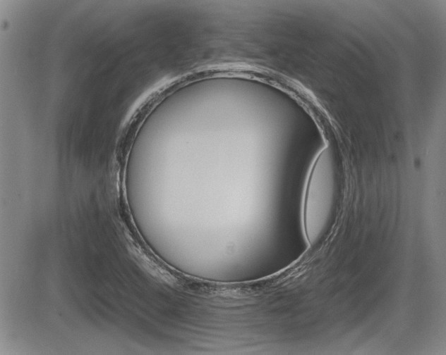 X0000085831408200703161018
