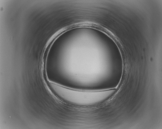 X0000085831418200703161018