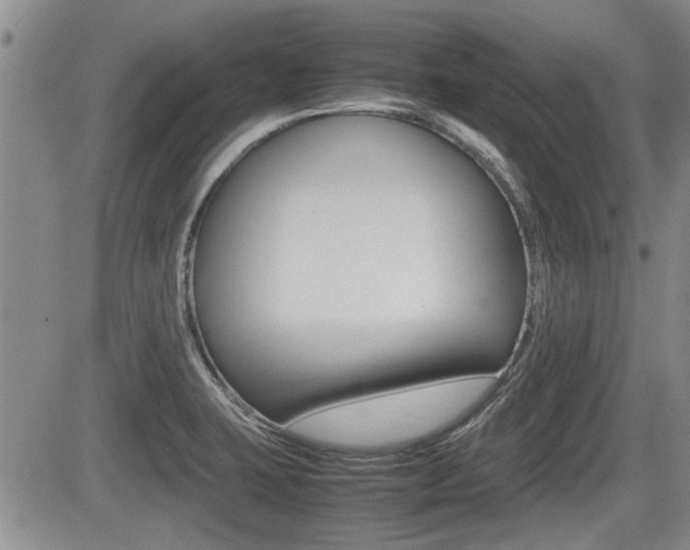 X0000085831423200703161018