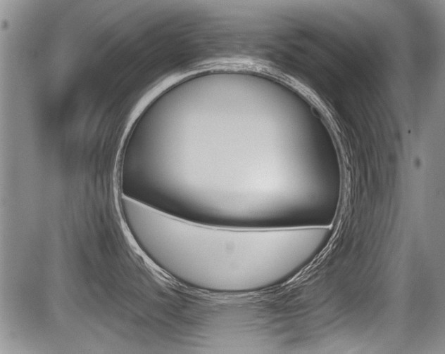 X0000085831440200703161018