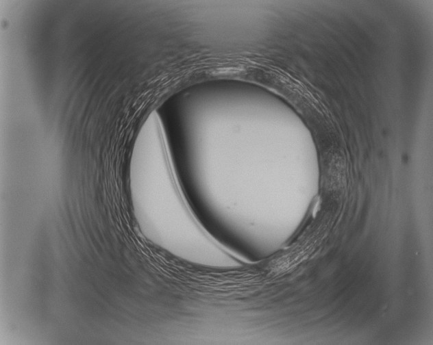 X0000085831441200703161017