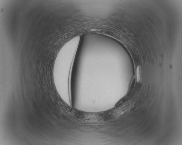 X0000085831443200703161017