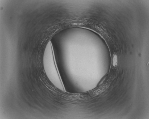 X0000085831444200703161017