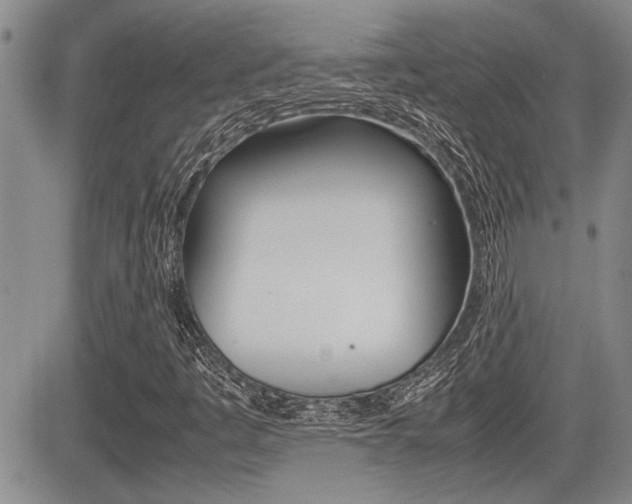 X0000085831445200703161017
