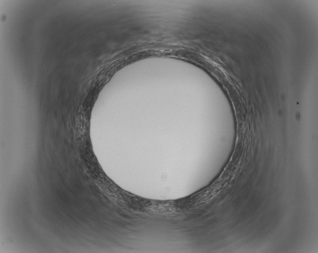 X0000085831447200703161017
