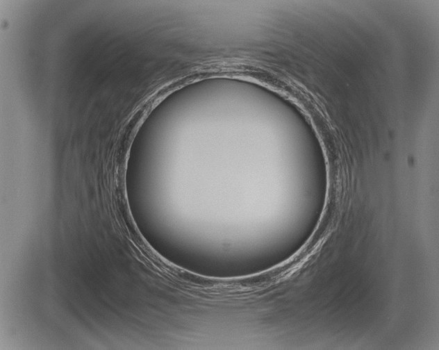 X0000085831449200703161017