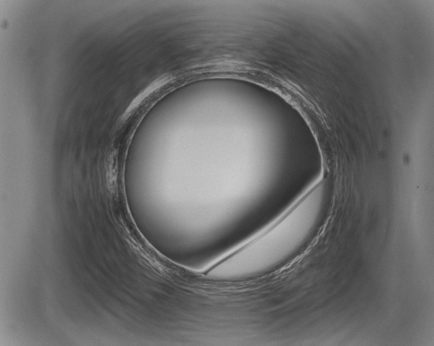X0000085831450200703161017
