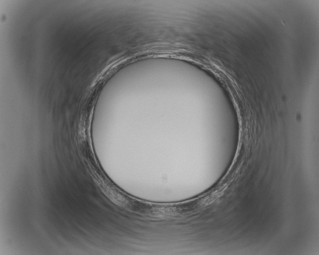 X0000085831451200703161017