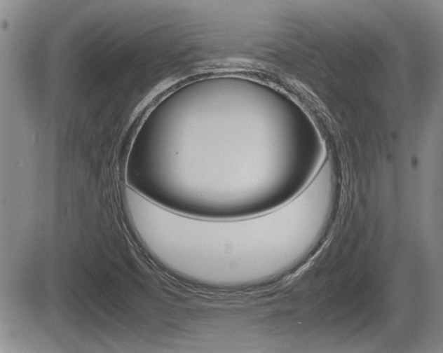 X0000085831457200703161017