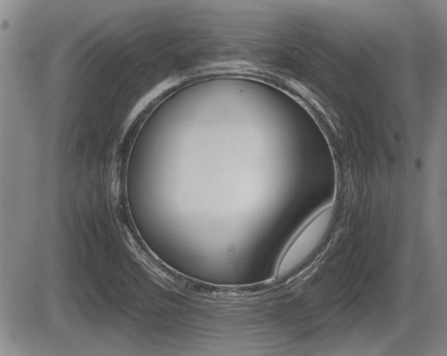 X0000085831458200703161017