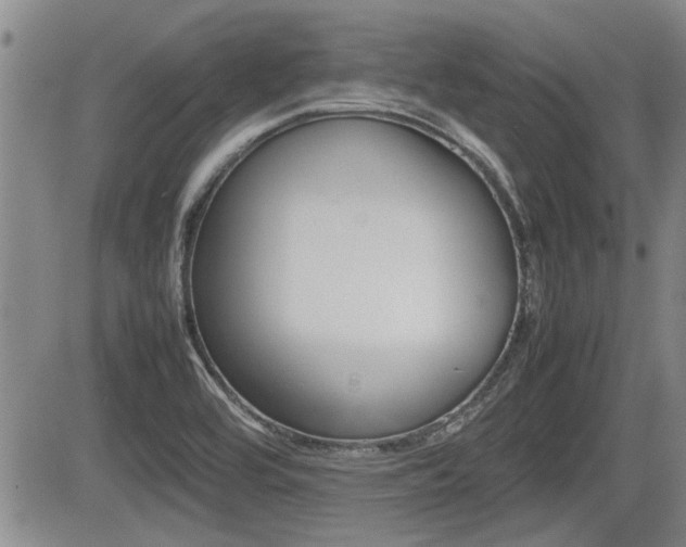 X0000085831464200703161017