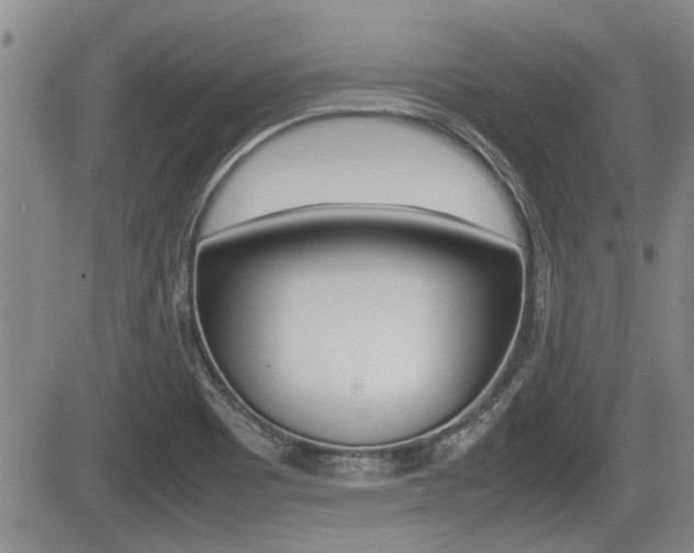 X0000085831465200703161017