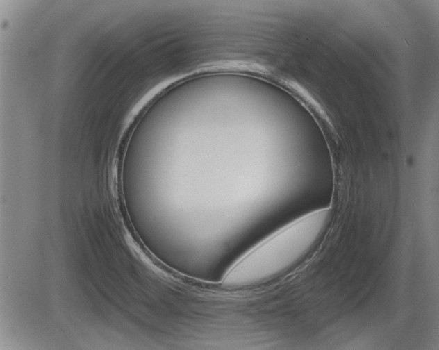 X0000085831468200703161017