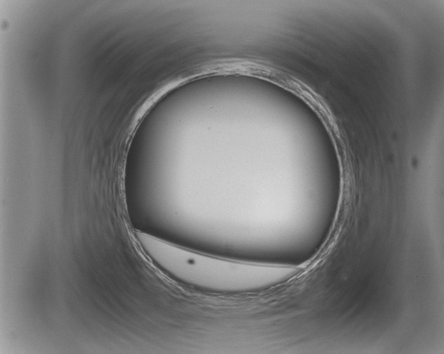 X0000085831481200703161017