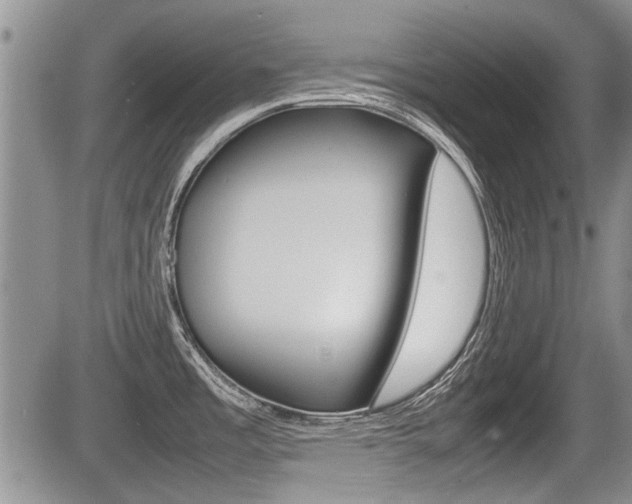 X0000085831485200703161017