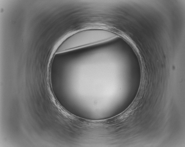 X0000085831488200703161017
