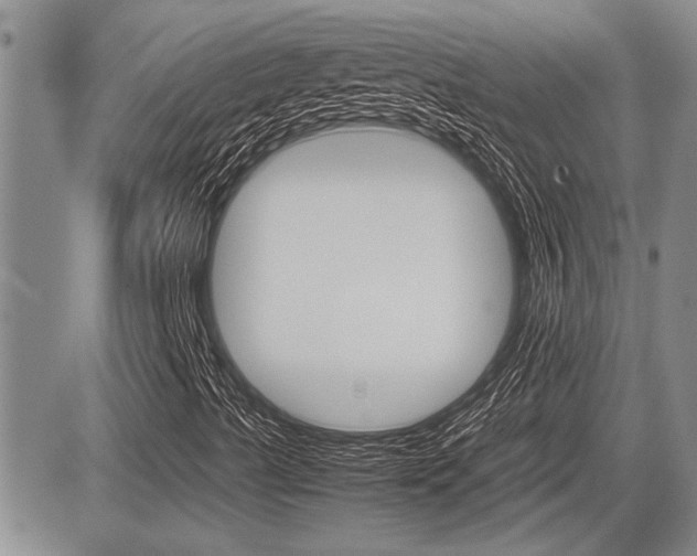 X0000085831489200703161016