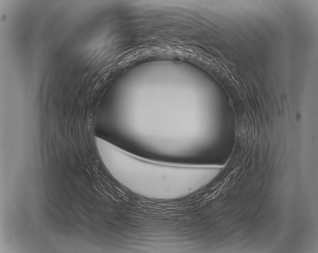 X0000085831490200703161016