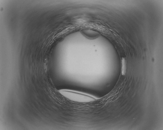 X0000085831491200703161016