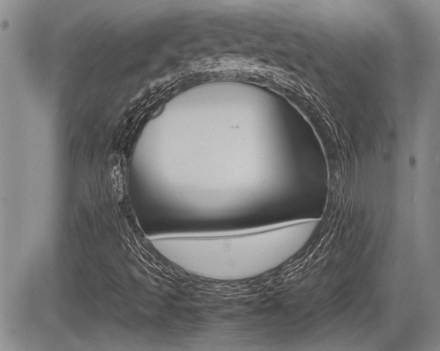 X0000085831493200703161016
