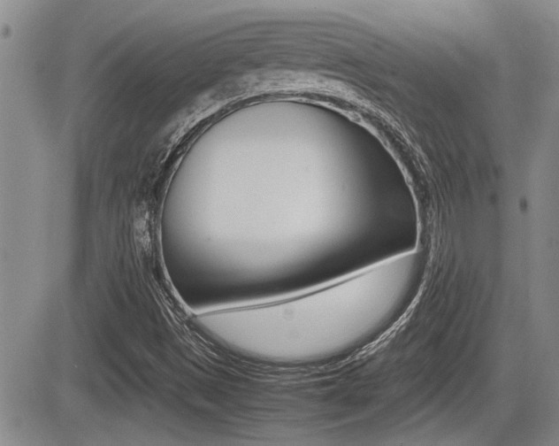 X0000085831497200703161016