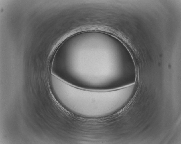 X0000085831500200703161016