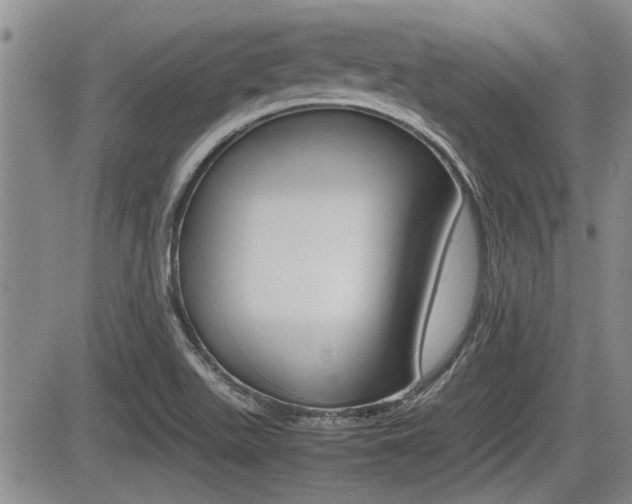 X0000085831511200703161016