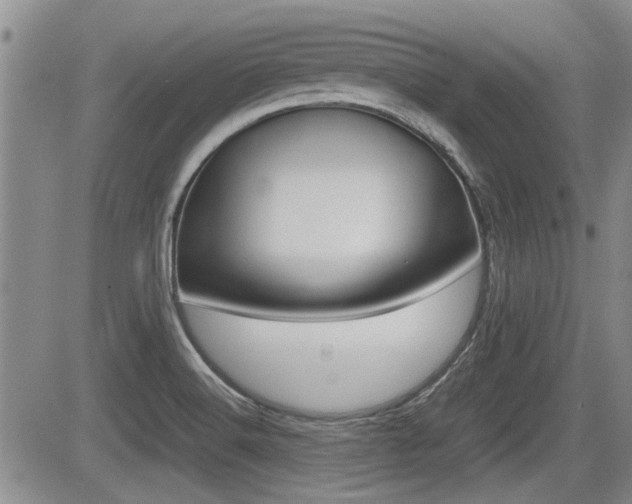 X0000085831516200703161016