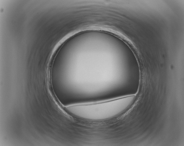 X0000085831517200703161016