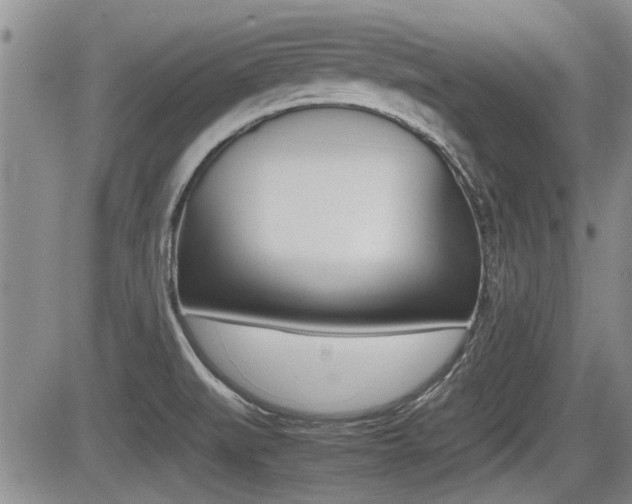 X0000085831519200703161016