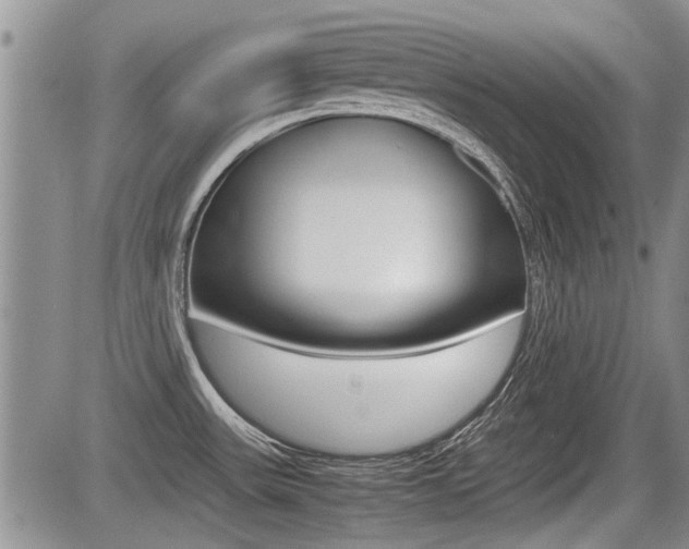 X0000085831531200703161016