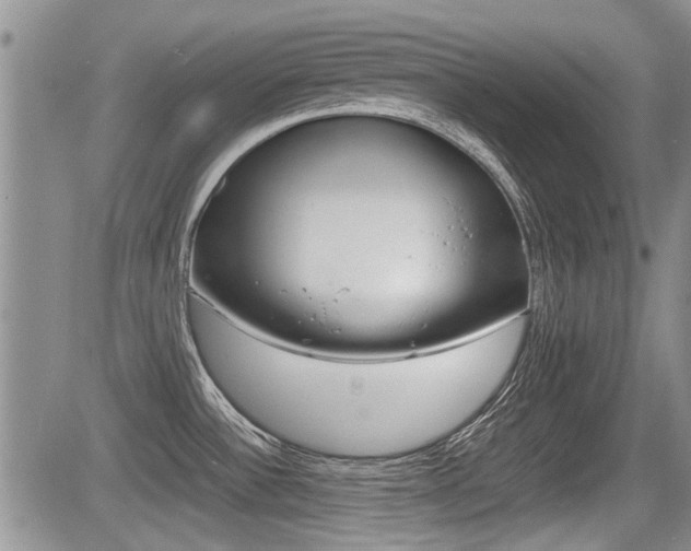 X0000085831532200703161016