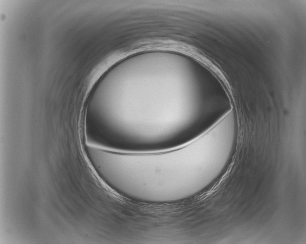 X0000085831533200703161016