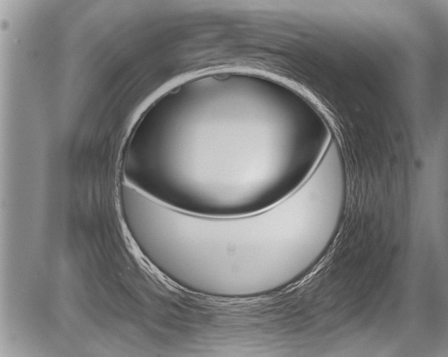 X0000085831534200703161016