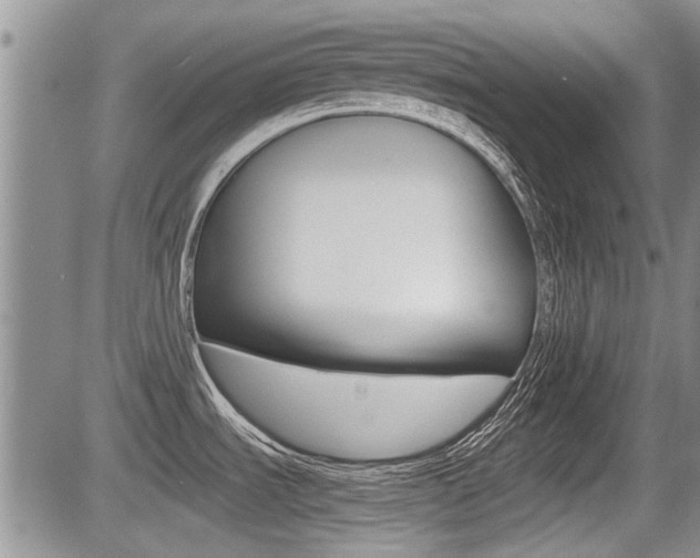 X0000085831535200703161017
