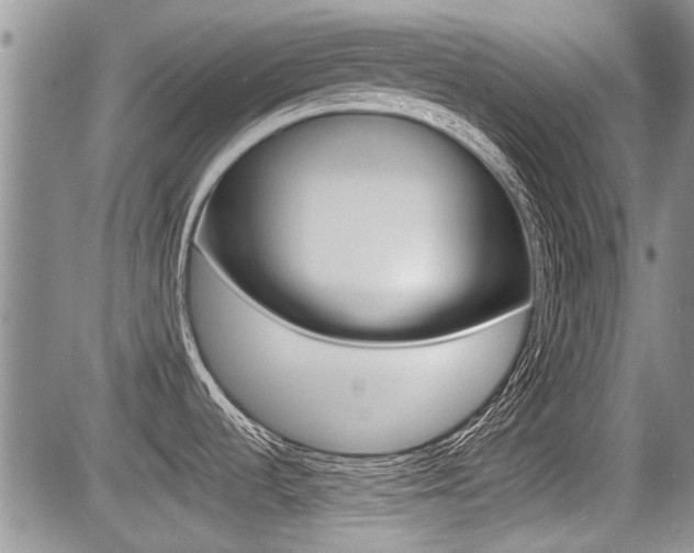 X0000085831536200703161017