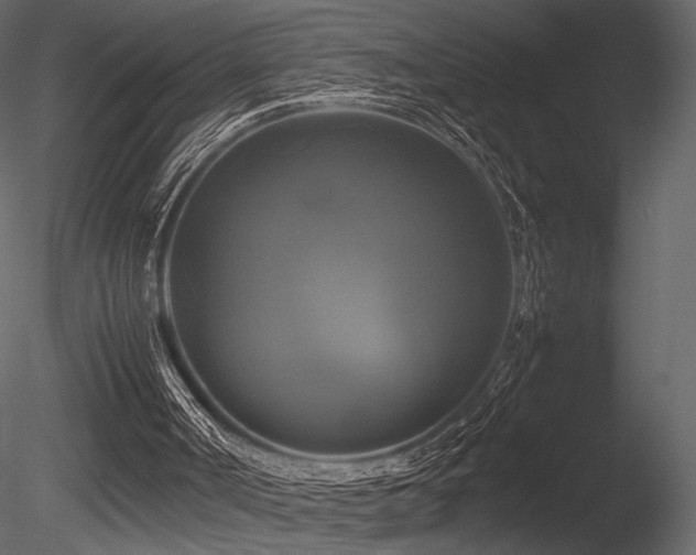 X0000085830002200703161336