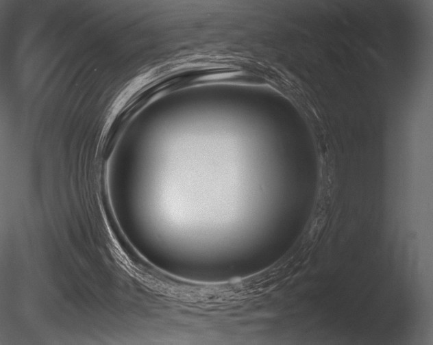 X0000085830003200703161336