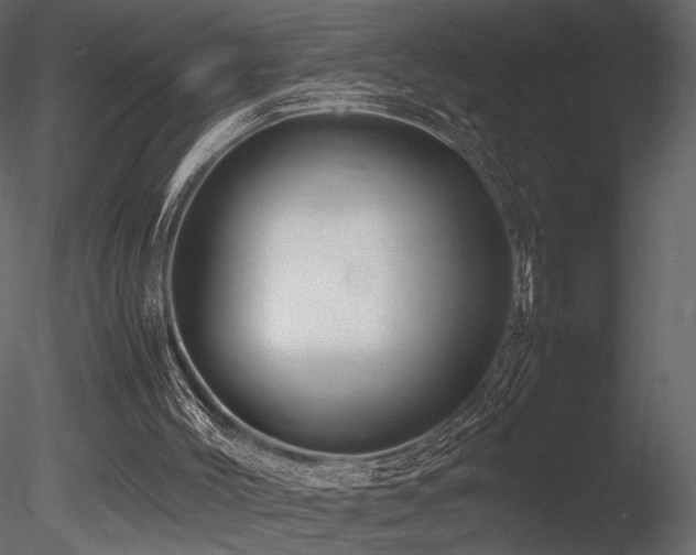 X0000085830004200703161336
