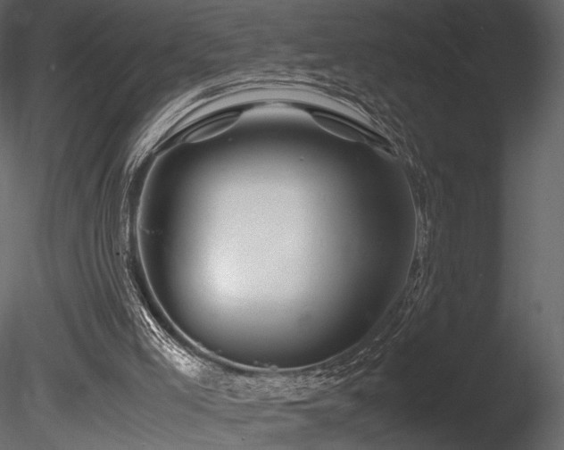 X0000085830005200703161336