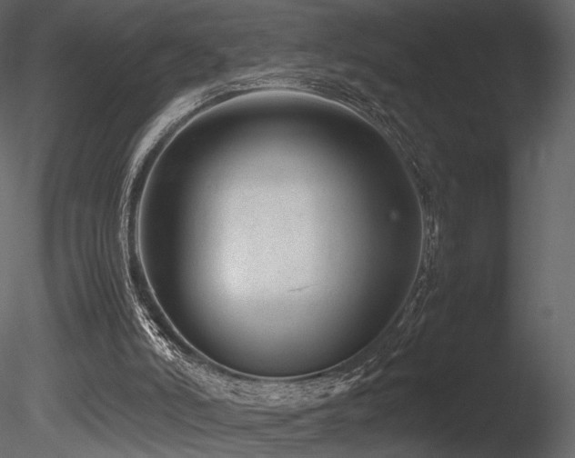 X0000085830006200703161336