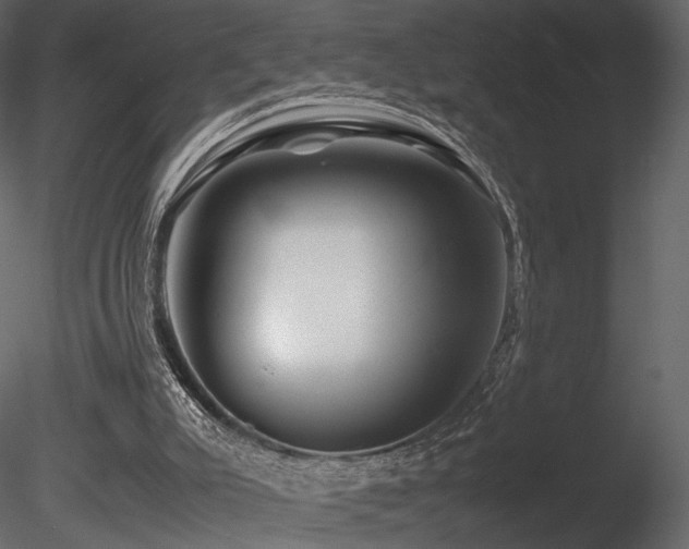 X0000085830007200703161336