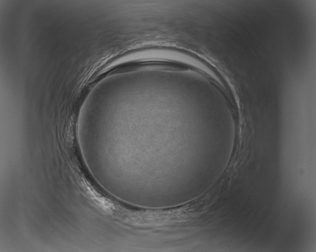 X0000085830009200703161336