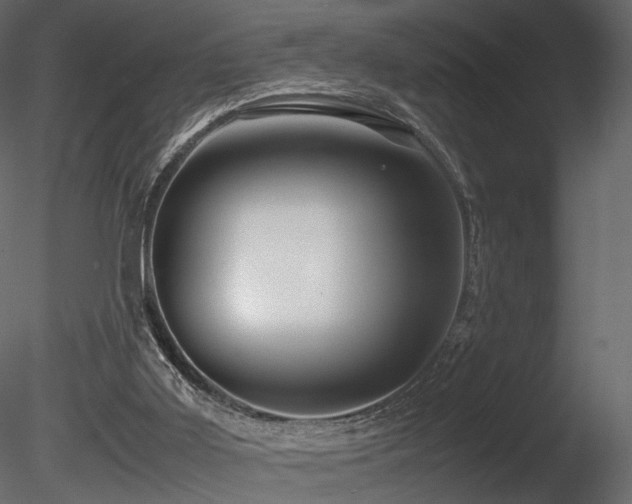 X0000085830011200703161336