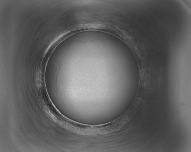 X0000085830012200703161336