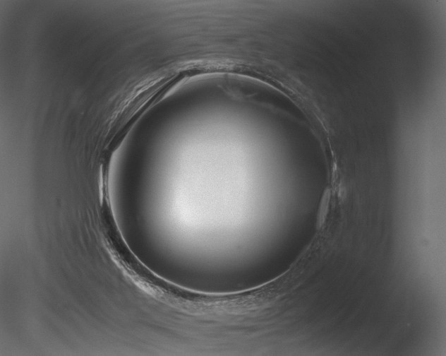 X0000085830013200703161336